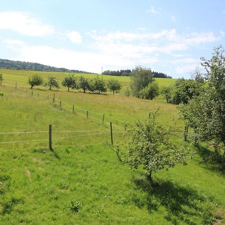 Luxusappartement Zell am Moos Esterno foto